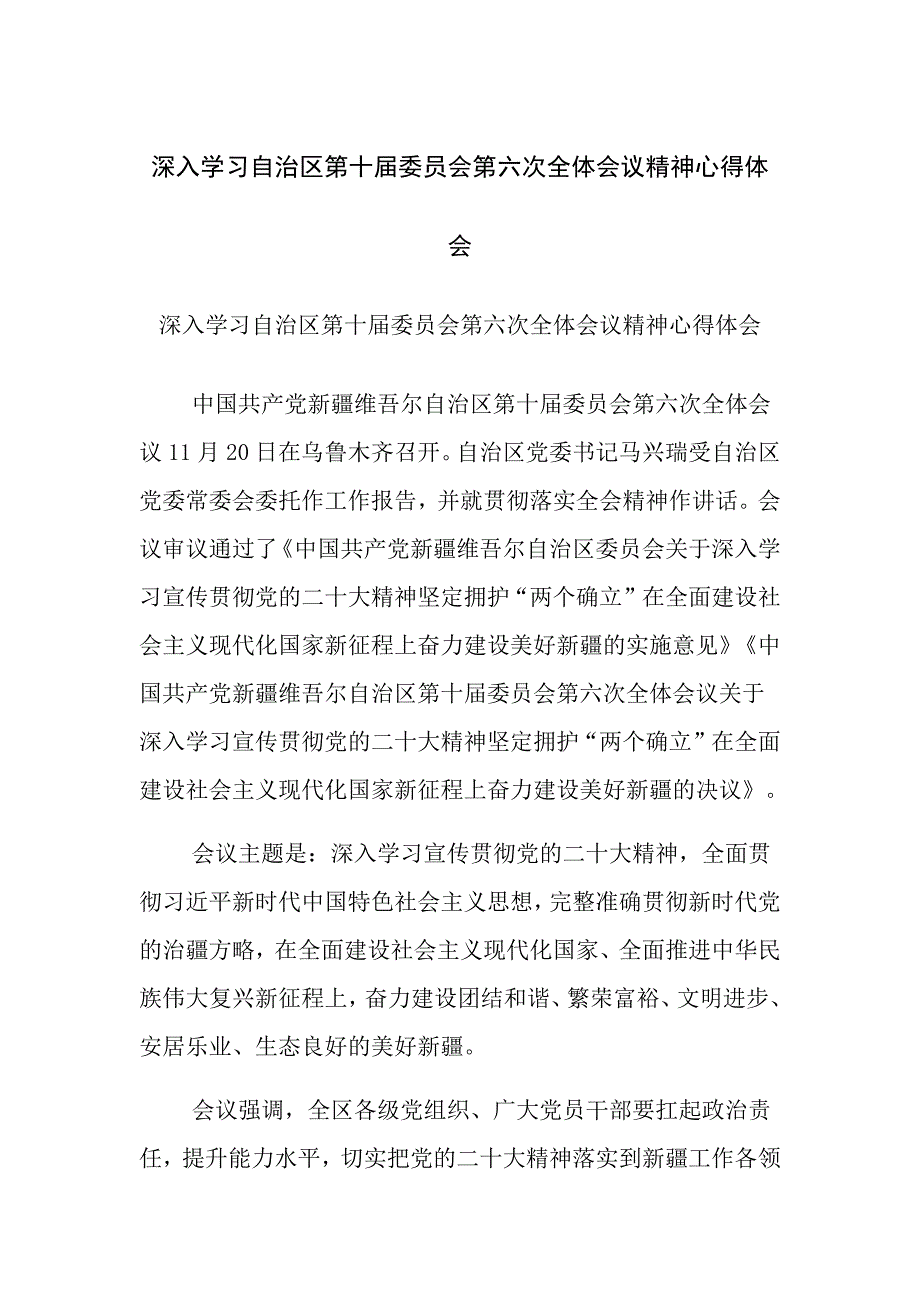 （完整）深入学习自治区第十届委员会第六次全体会议精神心得体会（新整理）_第1页