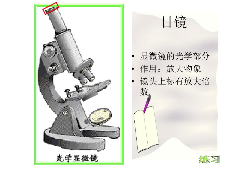 练习细使用显微镜1_第4页