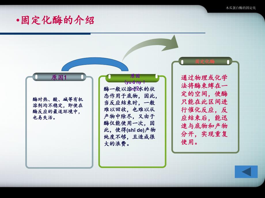 木瓜蛋白酶的固定化课件_第3页