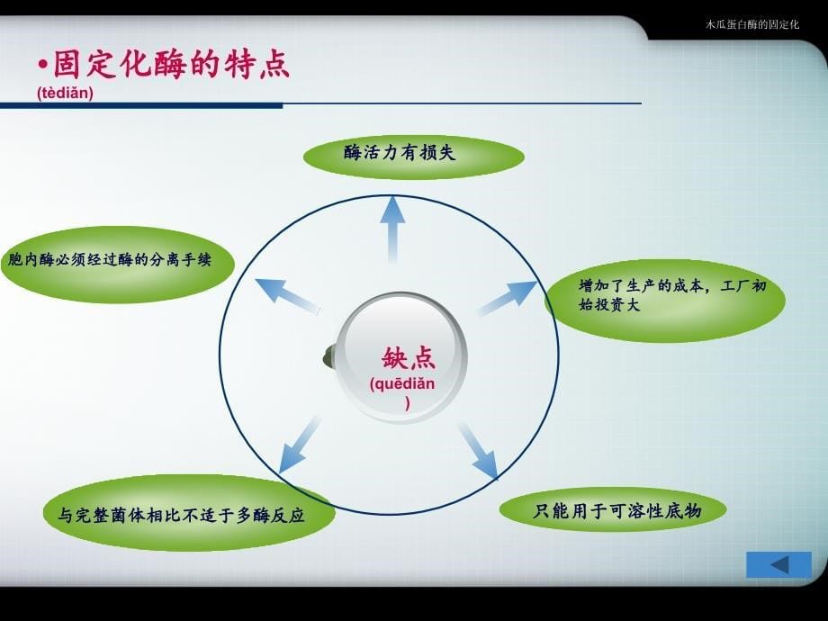 木瓜蛋白酶的固定化课件_第5页