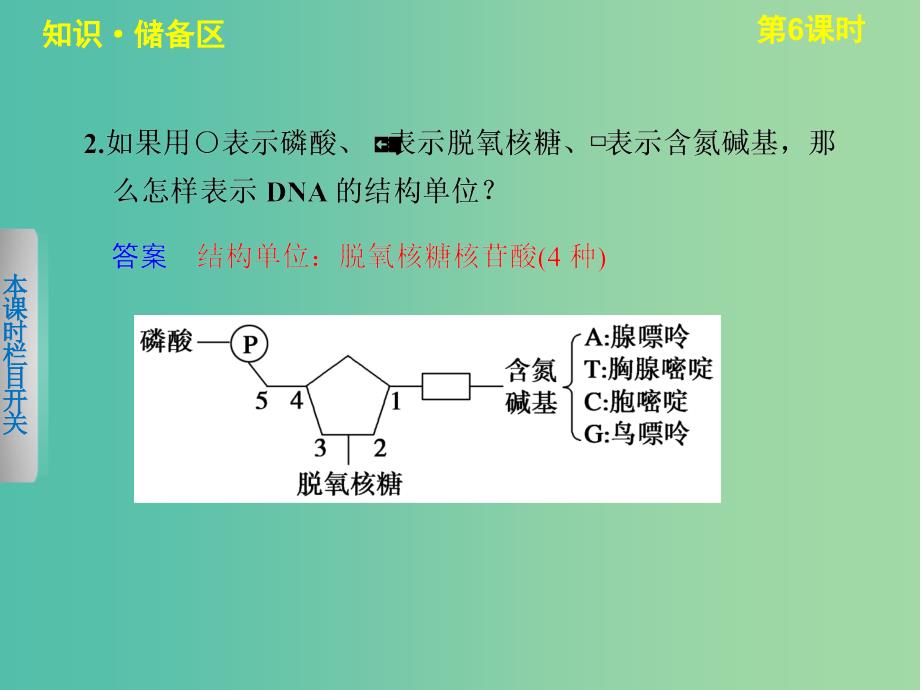 高中生物 2.2.2 DNA贮存遗传信息（Ⅱ）课件 北师大版必修2.ppt_第3页