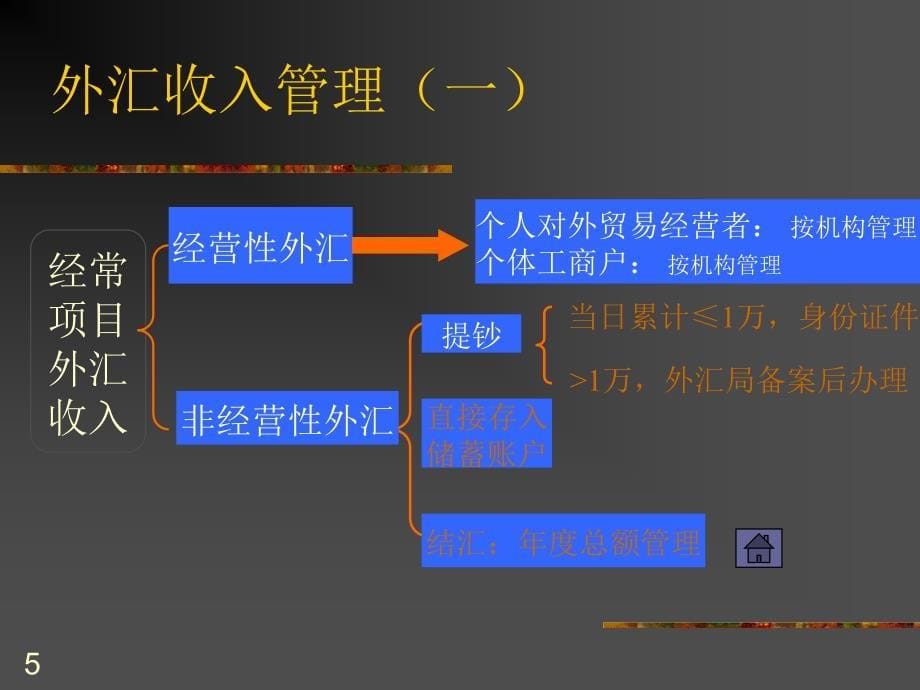 个人外汇管理法规.ppt_第5页