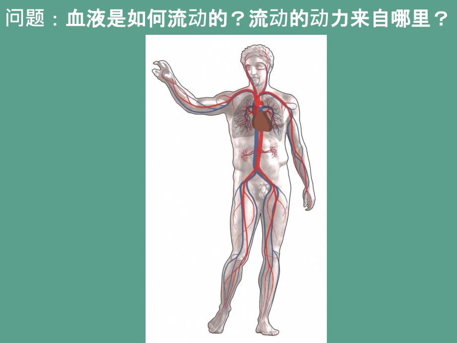 浙教版初中科学九上4.3体内物质的运输ppt课件_第2页