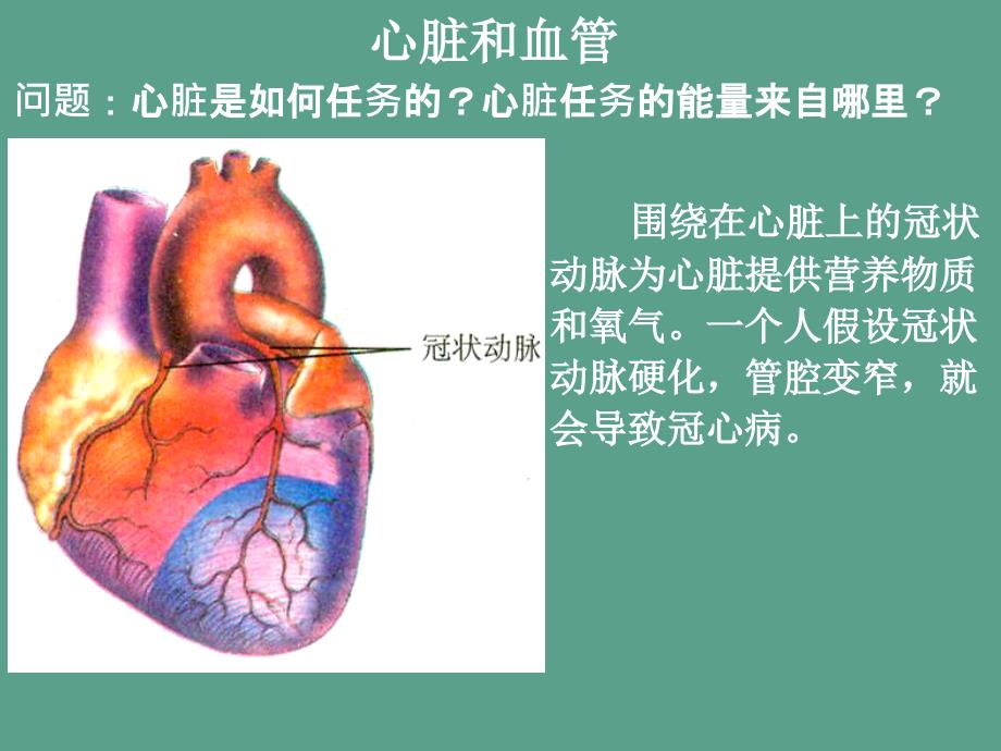 浙教版初中科学九上4.3体内物质的运输ppt课件_第4页