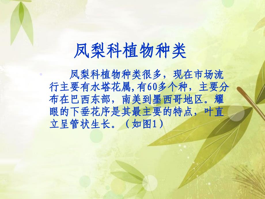 凤梨科植物栽培技术.ppt_第3页