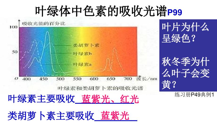 能量之源--光与光合作用.ppt_第3页