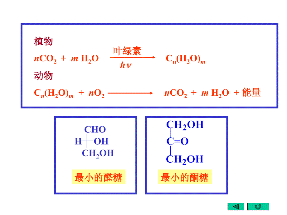 有机化学电子教案：Chapter21 单糖、寡糖和多糖_第4页