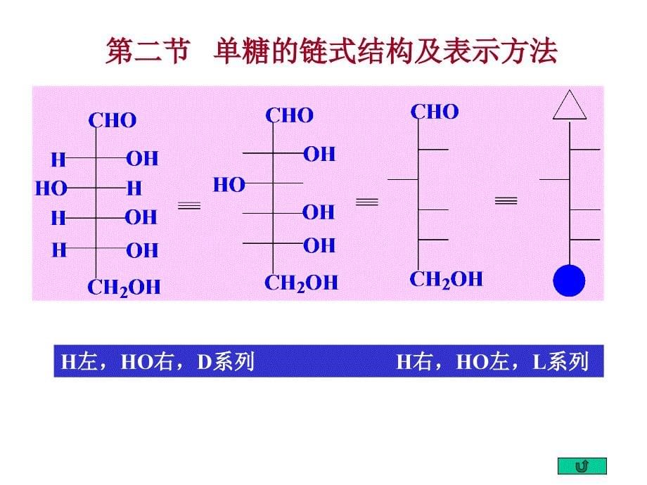 有机化学电子教案：Chapter21 单糖、寡糖和多糖_第5页