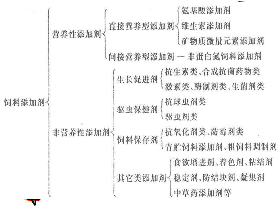 饲料添加剂ppt课件_第2页