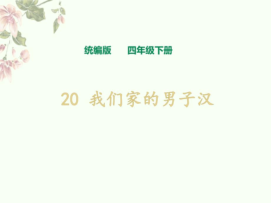 统编版四年级下册20《我们家的男子汉》课件_第1页