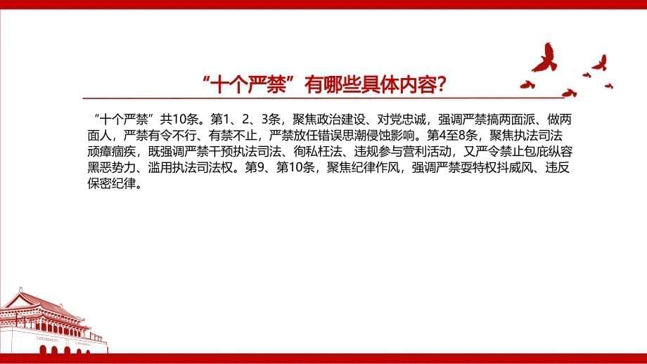 2022《新时代政法干警“十个严禁”》全文学习材料PPT课件（带内容）_第5页