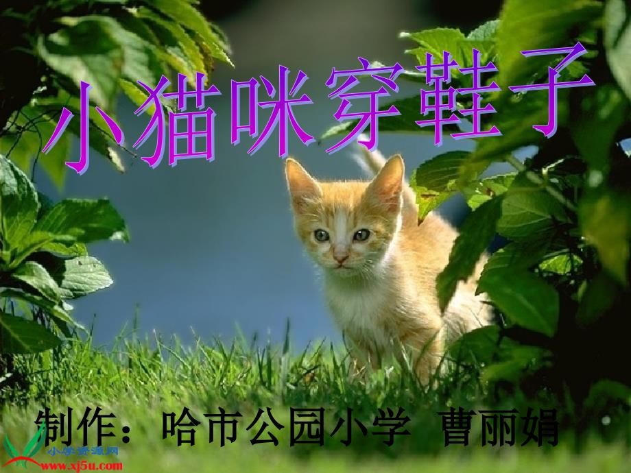 教科版二年级语文下册小猫咪穿鞋子2PPT课件_第1页