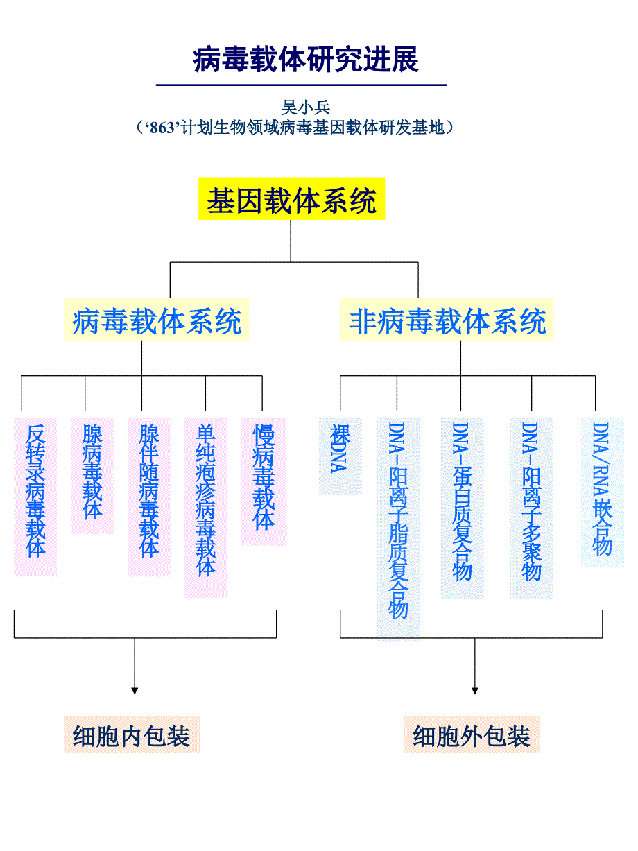 病毒载体研进展_第1页