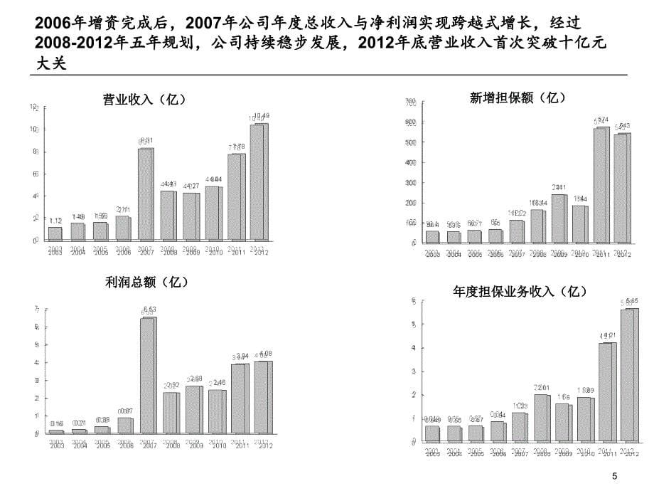 融资担保行业优秀企业基准研究_第5页