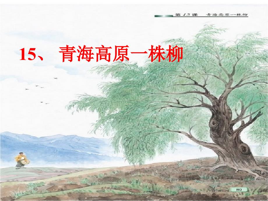 `青海高原一株柳第二课时课件.ppt_第1页