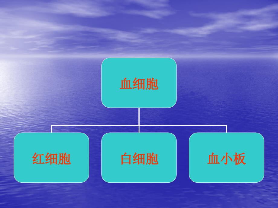 【健康】学前儿童卫生与保健-第一章-第二节 循环系统-精品文档_第4页