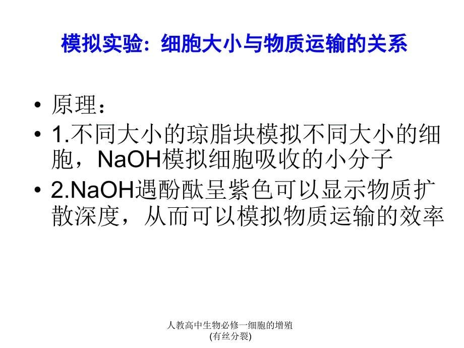 人教高中生物必修一细胞的增殖(有丝分裂)课件_第5页