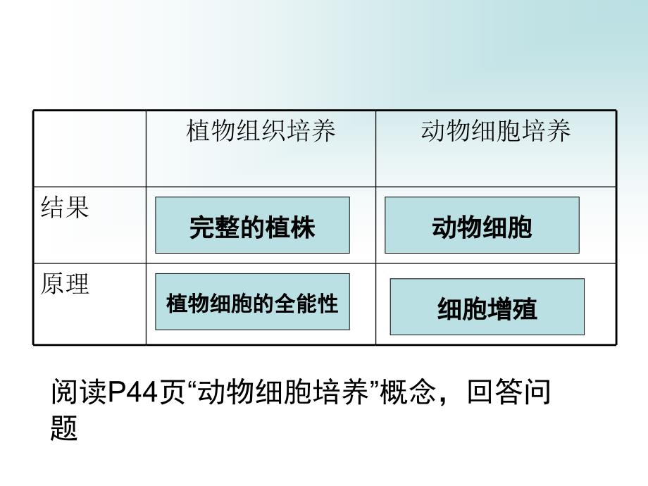 第一课时动物细胞培养_第3页