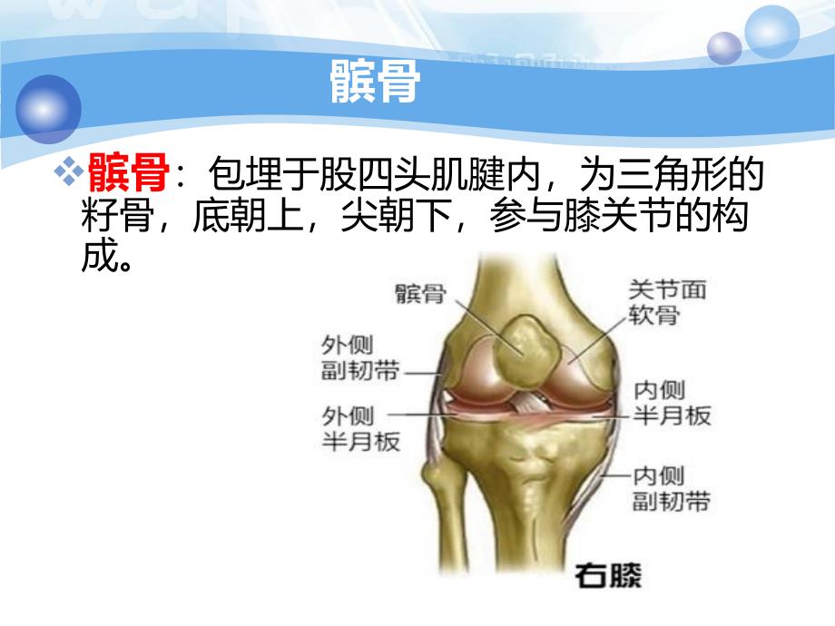 髌骨骨折护理查房_第3页