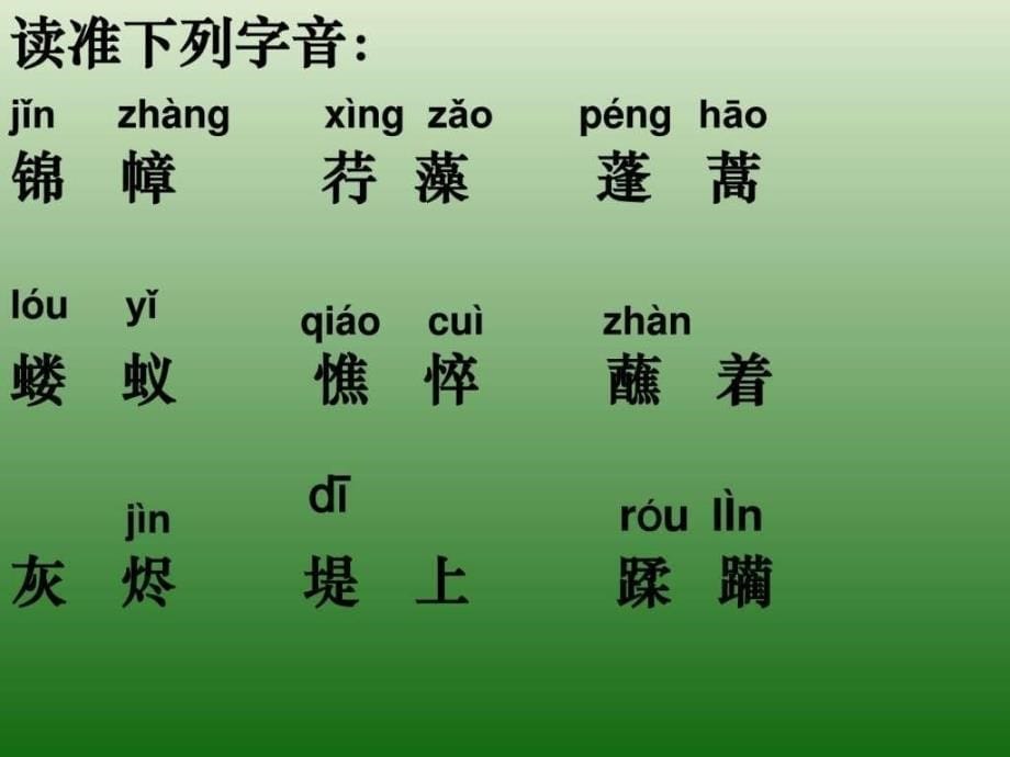 语文1.2我用残损的手掌课件3新人教版九年级下....ppt_第5页