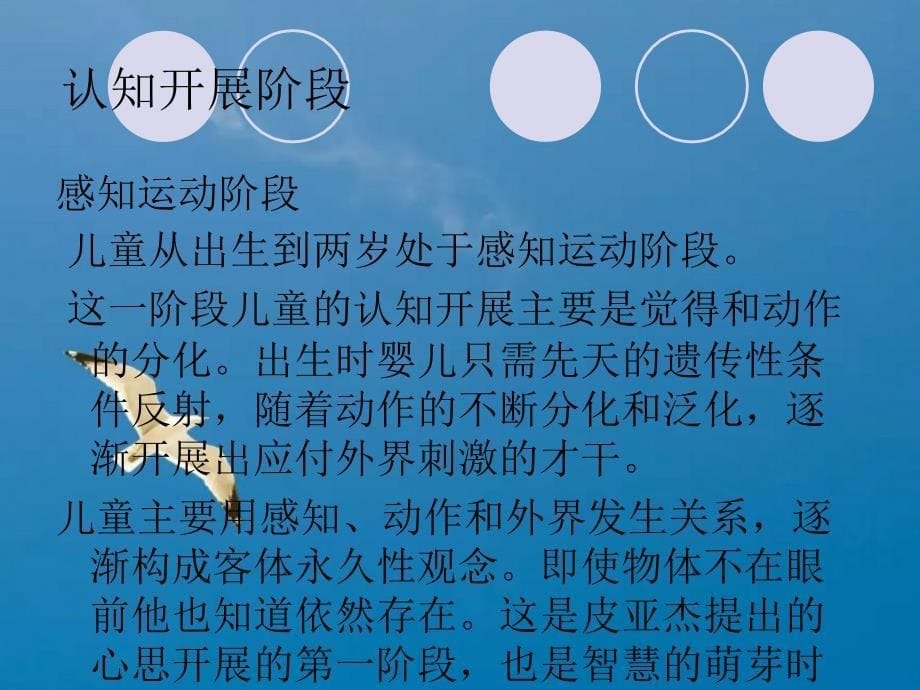 皮亚杰的认知发展ppt课件_第5页