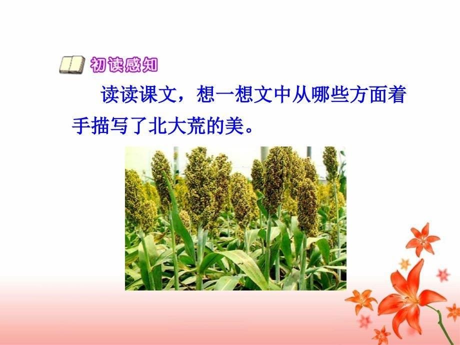 《北大荒的秋天》教学.ppt_第5页