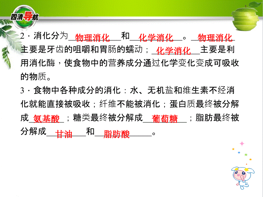 浙教版九年级科学上册4.2.1消化系统的组成、食物的消化与吸收课件_第4页