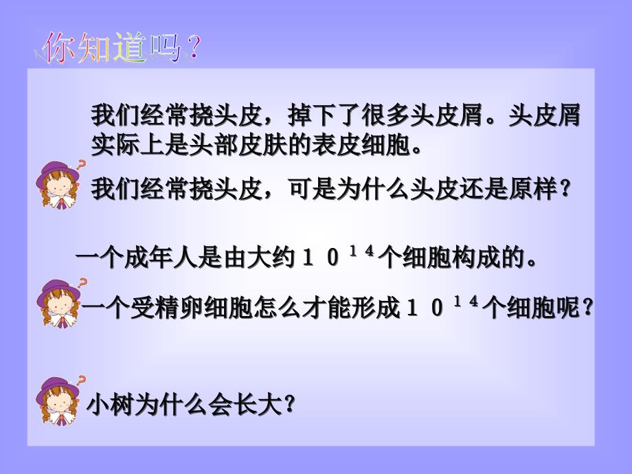 细胞分裂课件_第1页