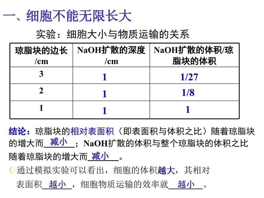 细胞分裂课件_第5页