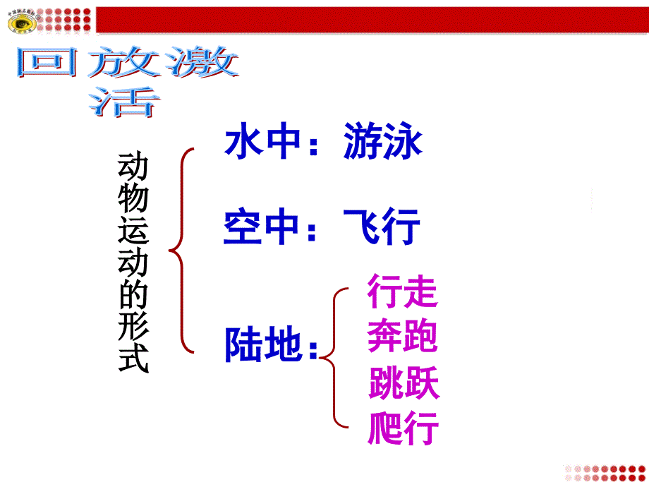 动物的运动依赖于一定的结构.ppt_第2页