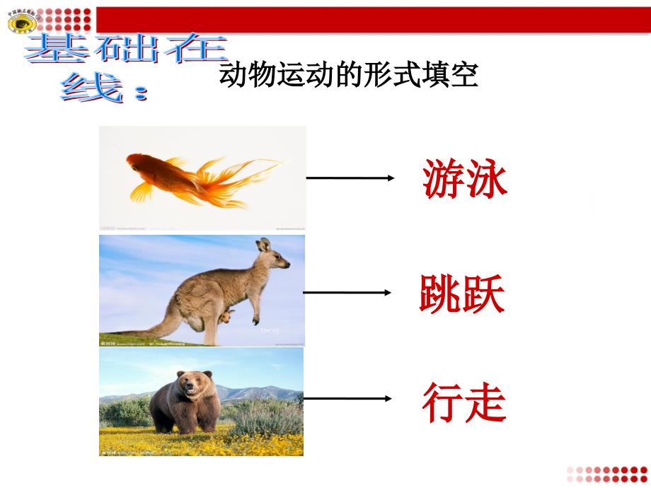 动物的运动依赖于一定的结构.ppt_第3页