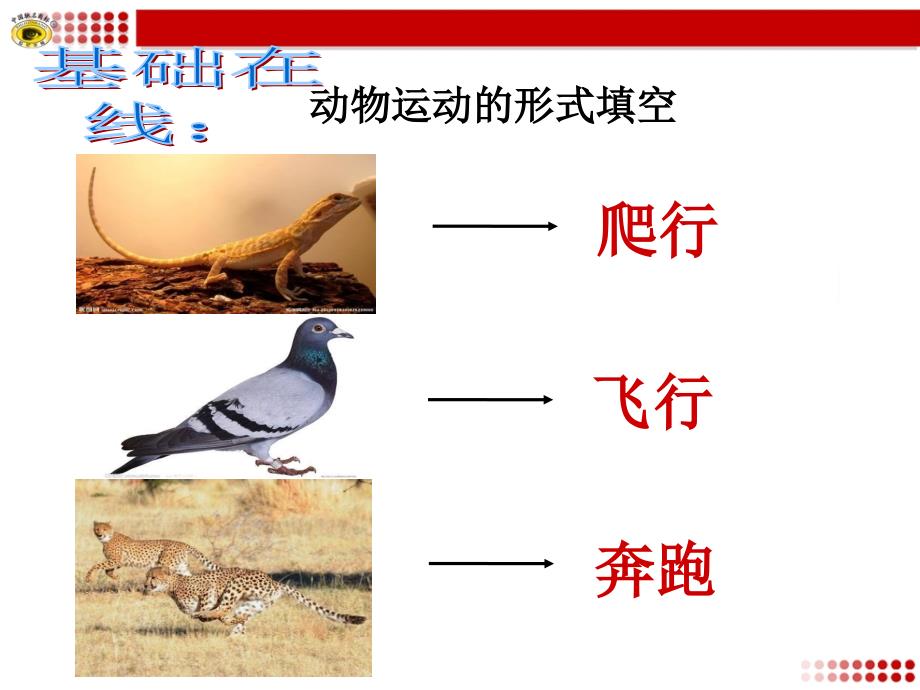 动物的运动依赖于一定的结构.ppt_第4页