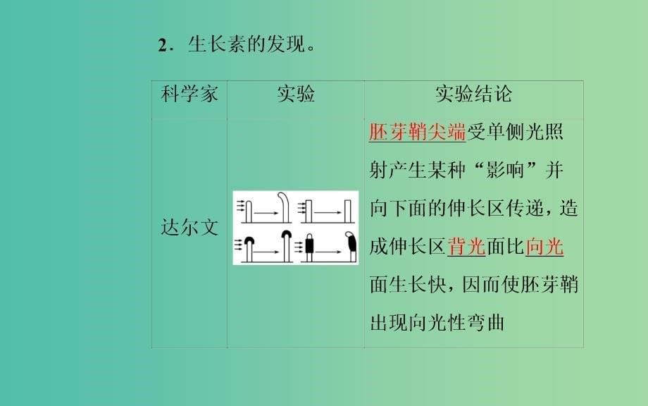 高中生物第3章植物的激素调节第1节植物生长素的发现课件新人教版.ppt_第5页