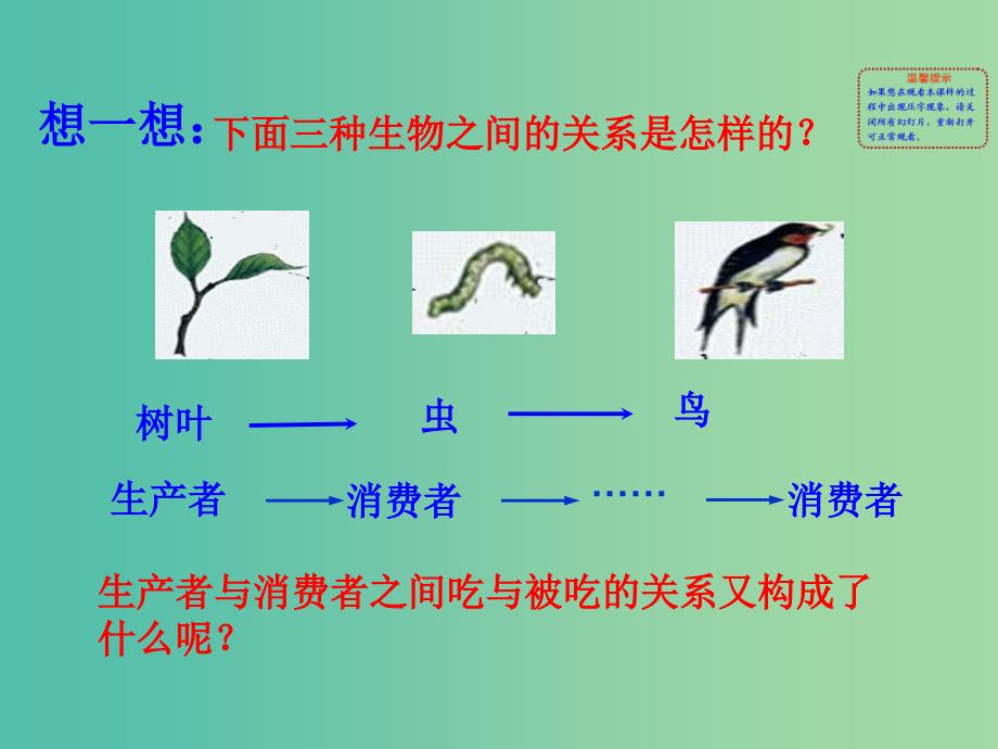 七年级生物上册 1.2.2 生物与环境组成生态系统（二）教学课件 新人教版.ppt_第2页