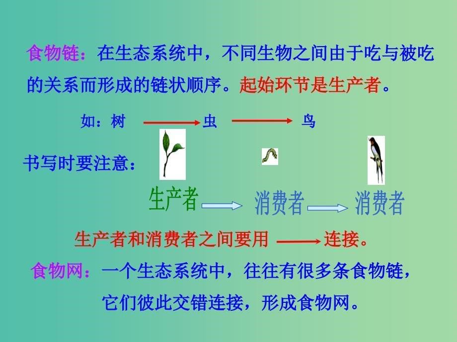 七年级生物上册 1.2.2 生物与环境组成生态系统（二）教学课件 新人教版.ppt_第5页