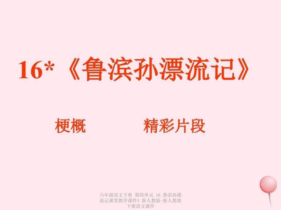 最新六年级语文下册第四单元16鲁滨孙漂流记课堂教学课件3_第5页