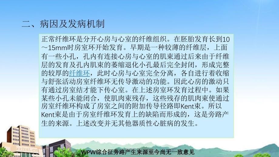 预激综合征与麻醉课件_第5页