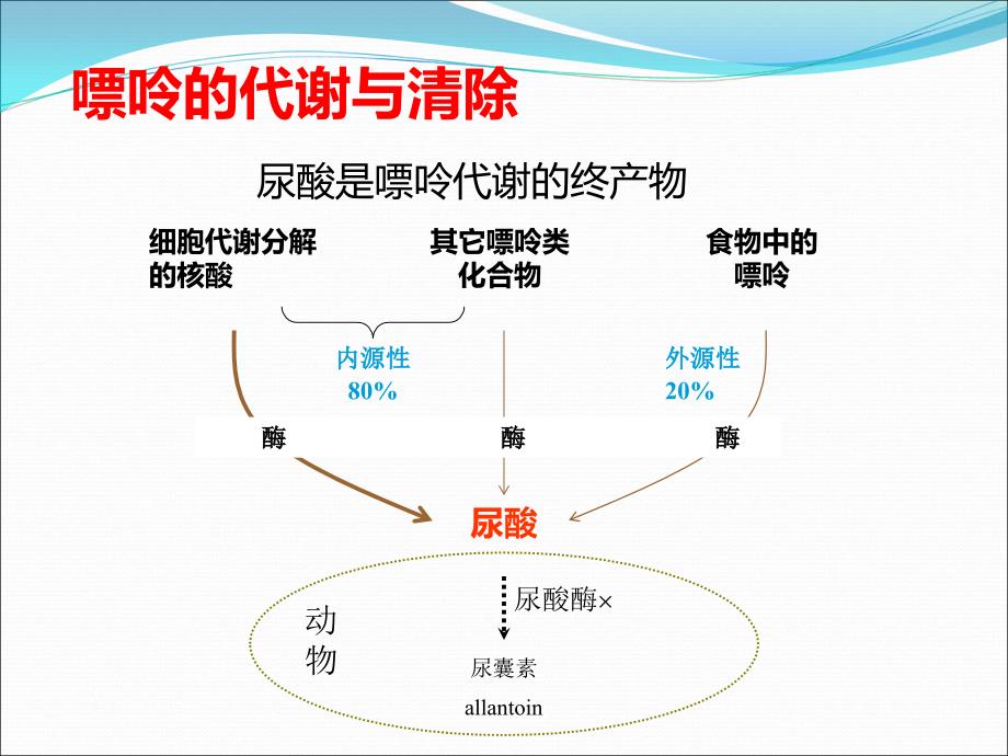 高尿酸血症和痛风性关节炎的诊治_第4页