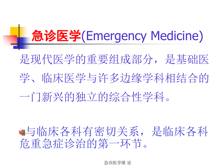 最新急诊医学绪论PPT_第2页