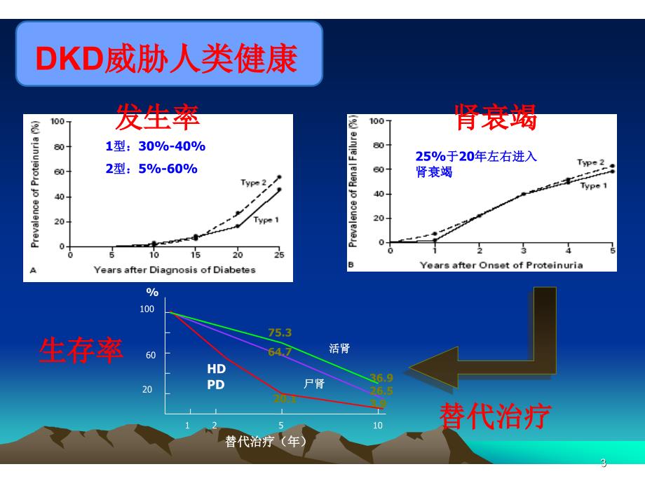 （医学课件）糖尿病肾病(精华).ppt_第3页