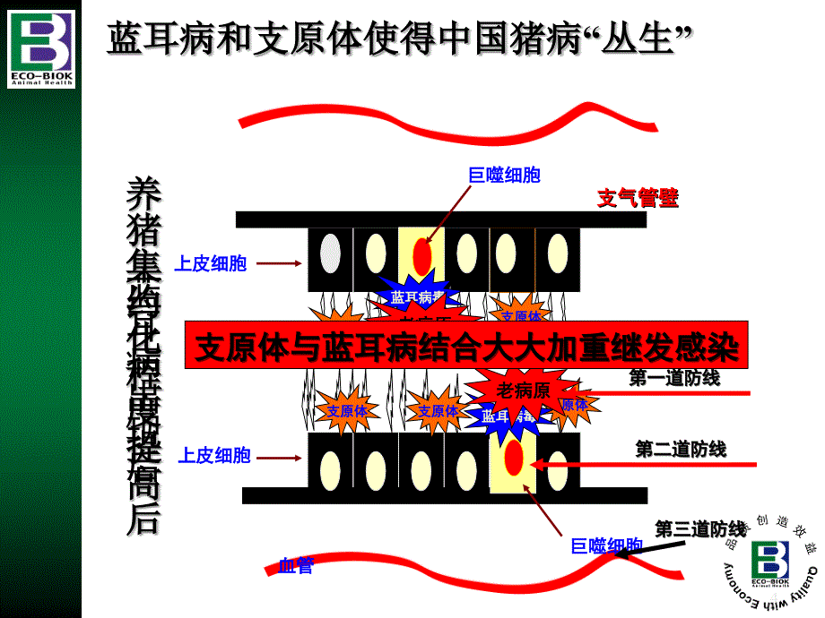 爱乐新产品介绍(Aivlosin premix(latest)_第4页