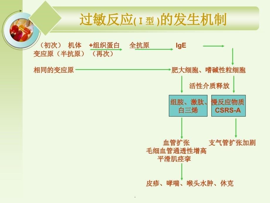 过敏性休克的急救和处理11_第5页