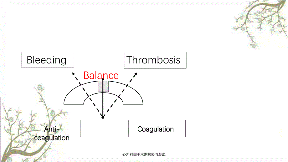 心外科围手术期抗凝与凝血_第3页