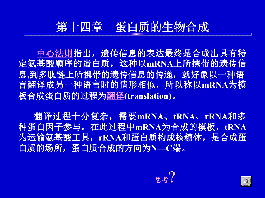 基础生物化学：第15章 蛋白质的生物合成_第1页