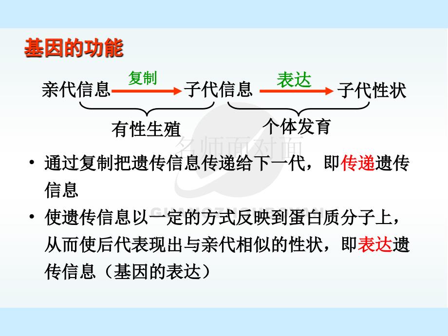 基因对性状的控制9课件_第4页