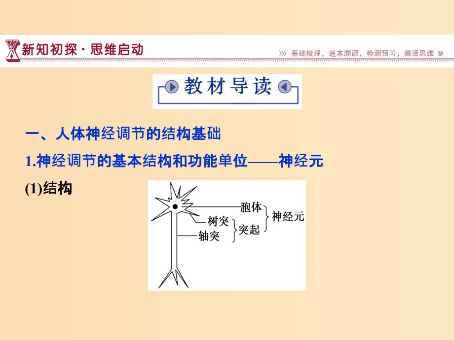 2018-2019学年高中生物 第二章 生物个体的稳态 第二节 人体生命活动的调节（一）课件 苏教版必修3.ppt_第3页