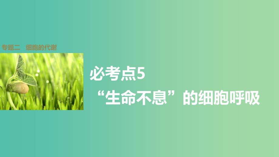 高考生物大二轮总复习 增分策略 专题二 必考点5“生命不息”的细胞呼吸课件.ppt_第1页