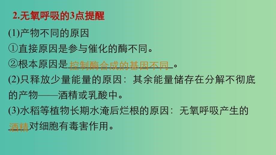 高考生物大二轮总复习 增分策略 专题二 必考点5“生命不息”的细胞呼吸课件.ppt_第5页