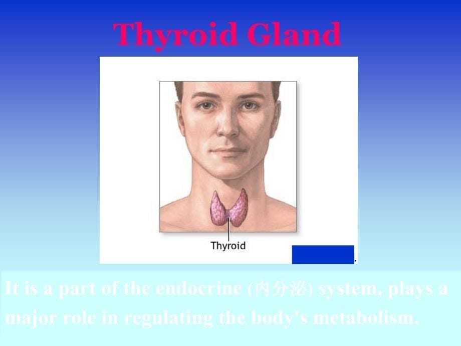 甲状腺疾病(英文版)名师制作优质教学资料_第5页