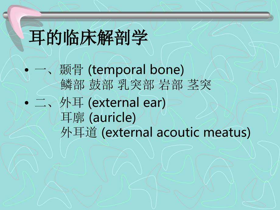 耳的临床解剖学_第1页